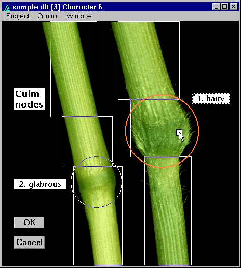Character 6 overlays.