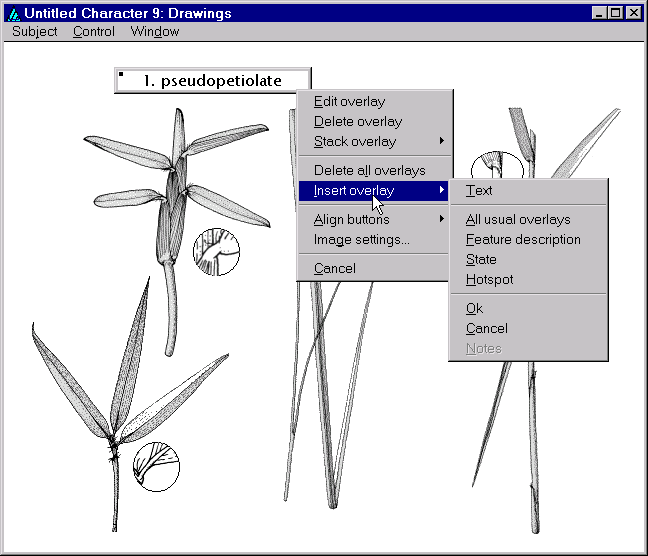 Character 9 overlays and menus.
