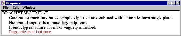 id24 - diagnostic description for 'BRACHYPSECTRIDAE'
