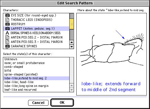 IdentifyIt state selection