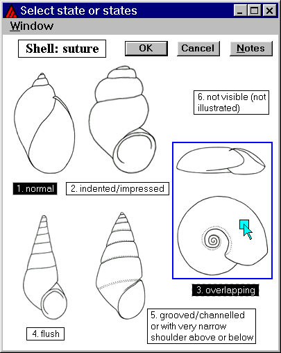 Intkey state selection