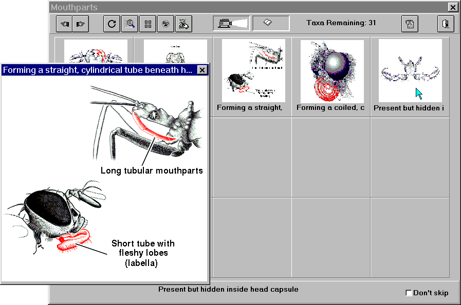 Lucid state selection